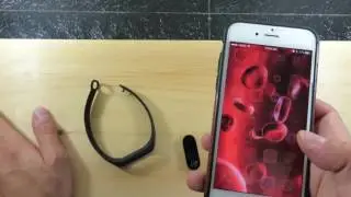 Mi Band 2 Issues With Button Does Not Respond (Common Issue)