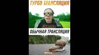 Турботрансляция ESL Pro League Season 20 от Winline