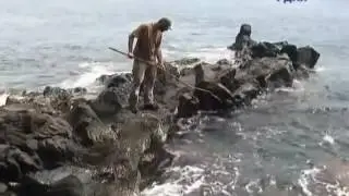 300 дней на острове