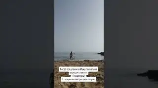 посмотрим