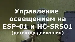 Управление освещением на ESP-01 и HC-SR501 (детектор движения)