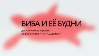 Биба и ее будни