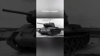 ветка об 140 в реальной жизни