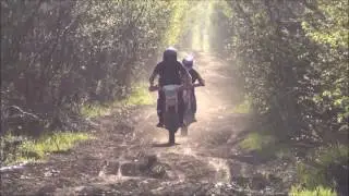 Что такое питбайк свобода на бездорожье
