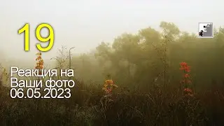Майк Топтыгин реагирует на Ваши фото 19