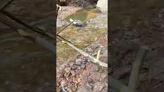 I Build This Wheel To Cook My Meat In The Wild #survival #bushcraft