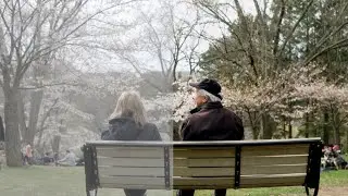 Phantom Lut Test | SONY A6400