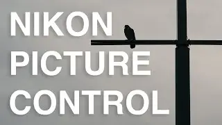 Are Nikon Picture Control's Any Good?