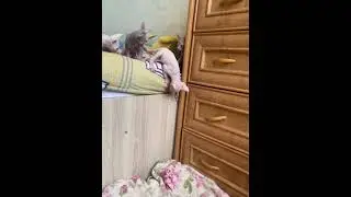 WhatsApp Video 2024 05 30 at 21 30 11