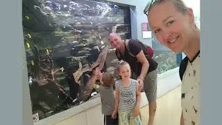 MUSE, Museo delle scienza