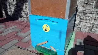 Экстренный облёт пчёл.