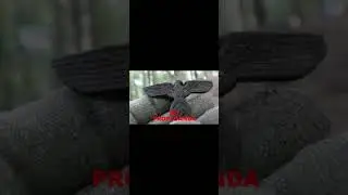 Фуражка лидера NSDAP! #Shorts Не пропаганда!  #metaldetecting #ww2 #history #forest