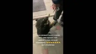 Можно только чут чут  🤏🤏мем, шаблон размечтался чорни