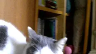 Video response for klatuu42