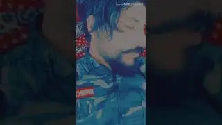 تخيل من بعد هالشوگ ستوريات