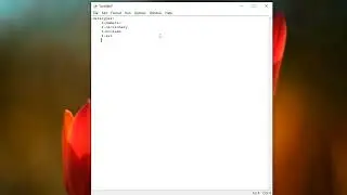 Python Datatypes #