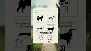 Чтобы получить карточки и другие полезности посмотри закреп в моем тг-канале biotonya 