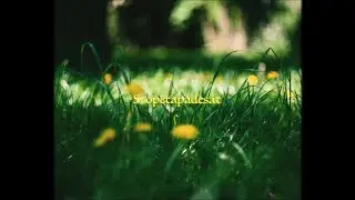 Kuba Paták - Stopětapadesát (Official Lyric Video)