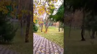 Релакс-прогулка по санаторию 