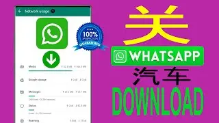 如何关闭 Whatsapp 中的自动下载