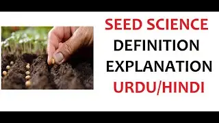What is Seed Science? | Examples | Benefits | Urdu/Hindi