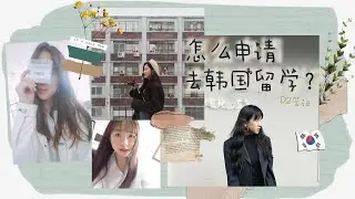 Korea Visa // 如何申请去韩国留学？D-2签证申请 / 经验分享 / 资格条件 / 学费和奖学金 / 转换学分插班生