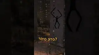 палочник?😰😰😰😰