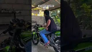 Ninja kis