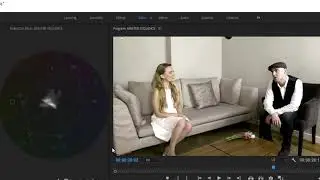Adobe Premiere   Copy and paste effects