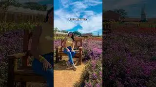Como tirar Foto na viagem! 