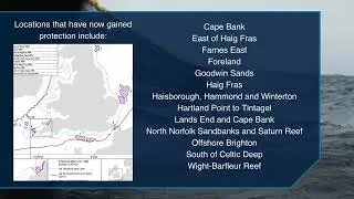 Vital marine ecosystems in an additional 4,000 square km of our seas to receive protection