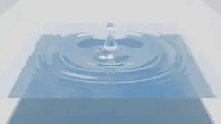Rain drop impacts on a water free surface.