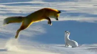 ALL-Original slide show of Winter from my area.