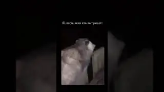 Не трогайте меня!