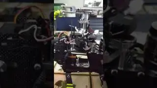Goblin 500 - strange servo movement (futaba s9650 and Savox sh 1290 mg)