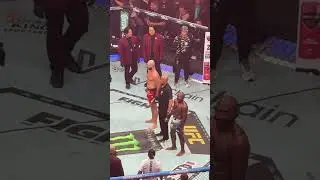 Jiri Prochazka with the 3rd round KO! 