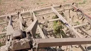 Т40АМ. Потревожил непрошенных жильцов.