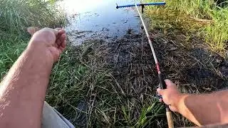 Насильно мил не будешь - прощание с фидерным спортом, отчёт Но 252