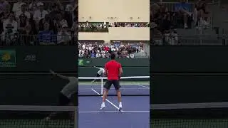 Who has the best volley?