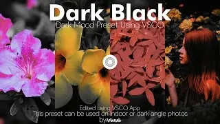 tutorial vsco dark preset