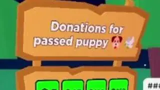 Donate for a passed puppy 🐶🕊️ (PLS DONATE)