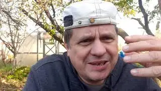 В ожидании чуда или как связаться с Гончаром.