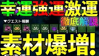 最強装備≠最高率!?幸運・強運・激運の全てを置いてきた動画！重複する？意味あるの？幸運Lv3は必要？全ての疑問に応える徹底解説！【MHRise】 第778話