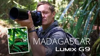 Lumix G9 in Madagascar with conservation photographer Joakim Odelberg