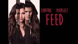 Feed Trailer 2017 (TVD Style)