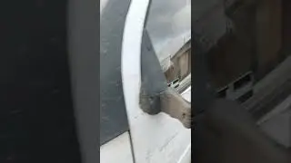 газель самосвал(1)
