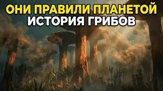 ГРИБЫ ПРАВИЛИ ПЛАНЕТОЙ? ИСТОРИЯ ГРИБОВ
