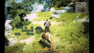 Black Desert Online [Воин] Комбинации умений с 