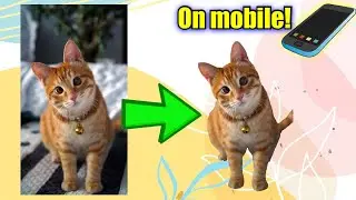 Remove Multicolored Backgrounds from Image on Mobile | Quick Guide