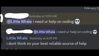 programming (shitpost)